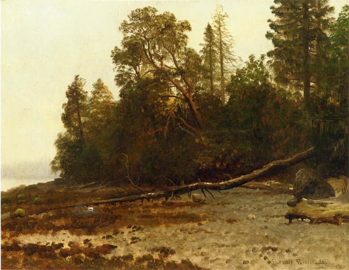 Albert+Bierstadt-1830-1902 (128).jpg